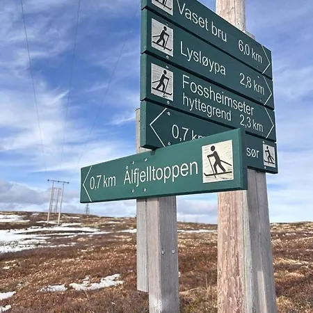 Modernized Log With Views Of The Mountains *