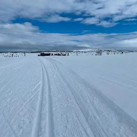 Modernized Log With Views Of The Mountains Casa de Férias *