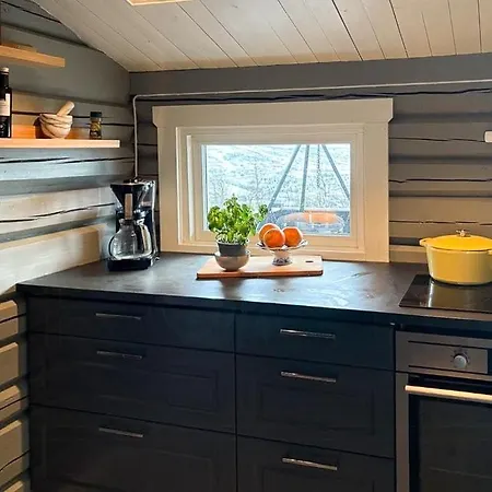 Modernized Log With Views Of The Mountains