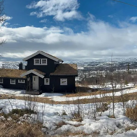 Modernized Log With Views Of The Mountains