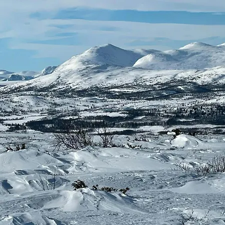 Modernized Log With Views Of The Mountains