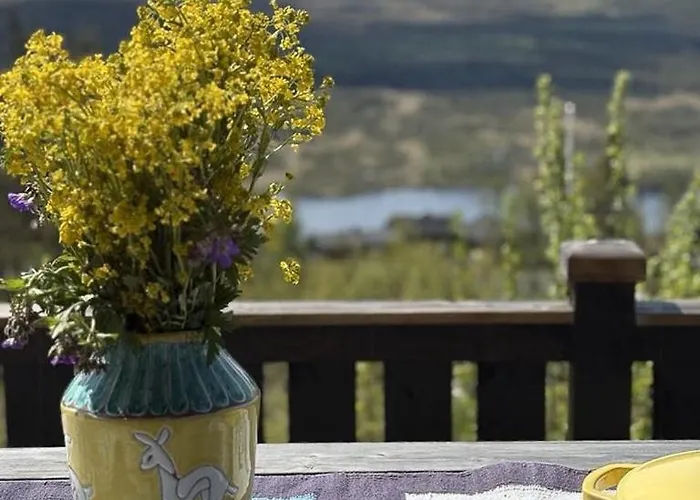 Modernized Log With Views Of The Mountains *