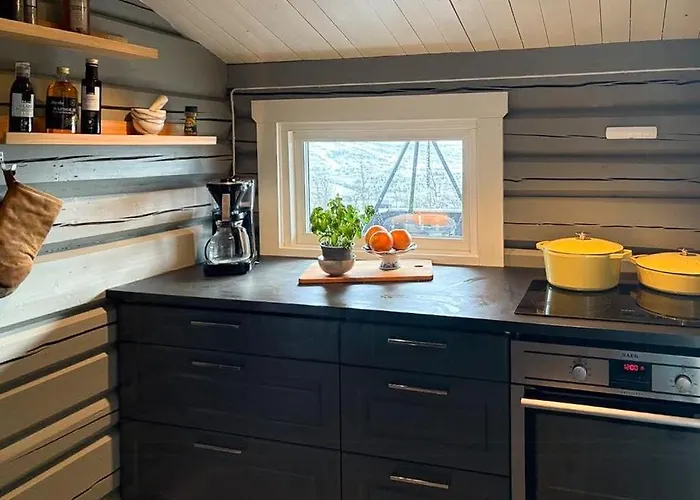 Modernized Log With Views Of The Mountains