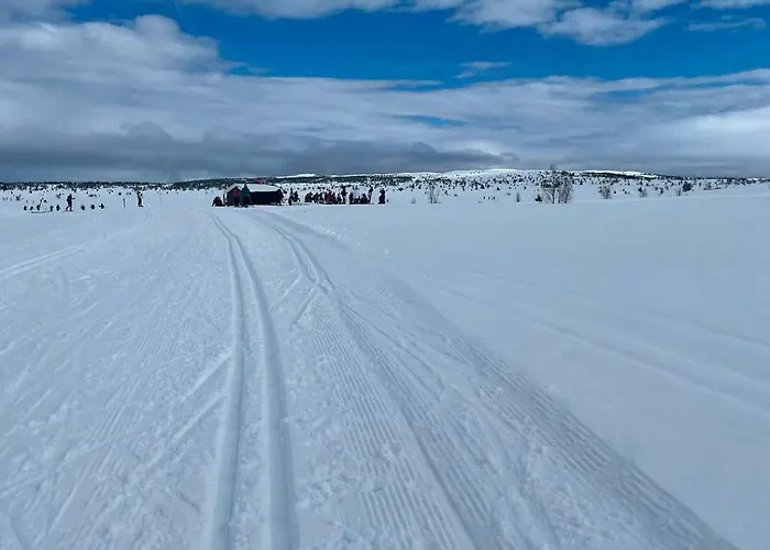 Feriehus Modernized Log With Views Of The Mountains
