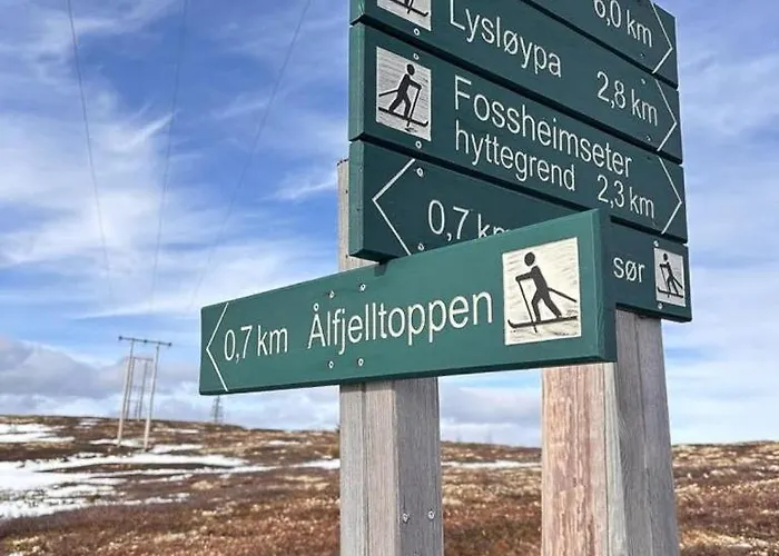 Modernized Log With Views Of The Mountains Semesterbostad *