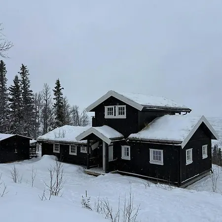 Modernized Log With Views Of The Mountains *