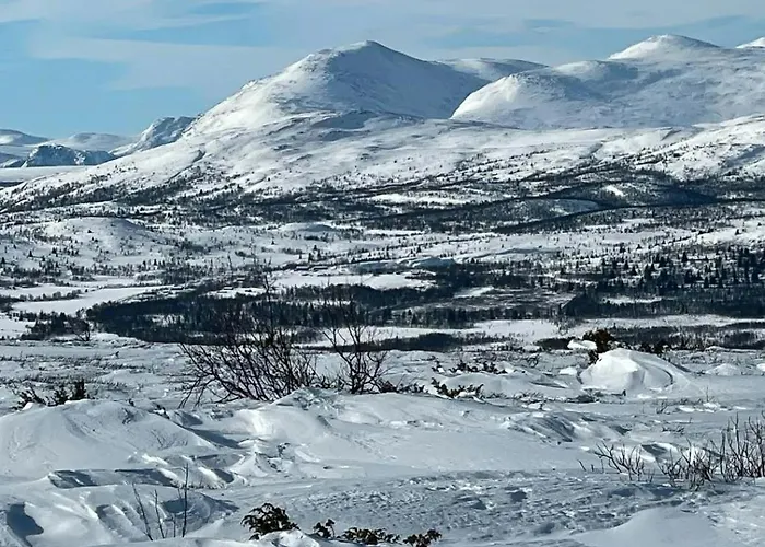 Modernized Log With Views Of The Mountains